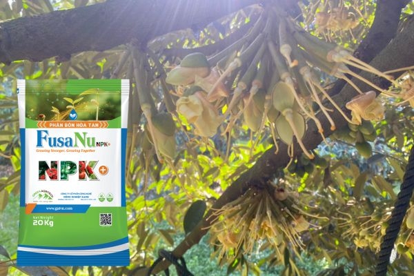 Bí quyết “đánh thức” cây ra hoa đồng loạt cùng phân bón FusaNu 10-46-10+TE