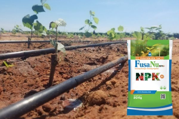Dây Tưới nhỏ giọt bù áp - Giải Pháp Tưới Chính Xác, Hiệu Quả Cùng Phân Bón FusaNu