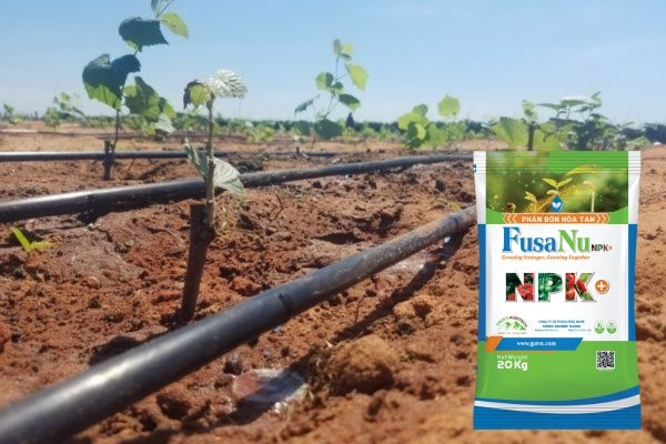 Dây Tưới nhỏ giọt bù áp - Giải Pháp Tưới Chính Xác, Hiệu Quả Cùng Phân Bón FusaNu