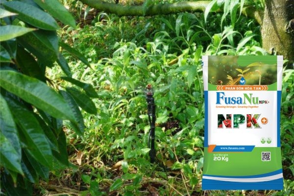 Giải Pháp Tưới Thông Minh Cho Cây Sầu Riêng – Tối Ưu Năng Suất Cùng Phân Bón FusaNu