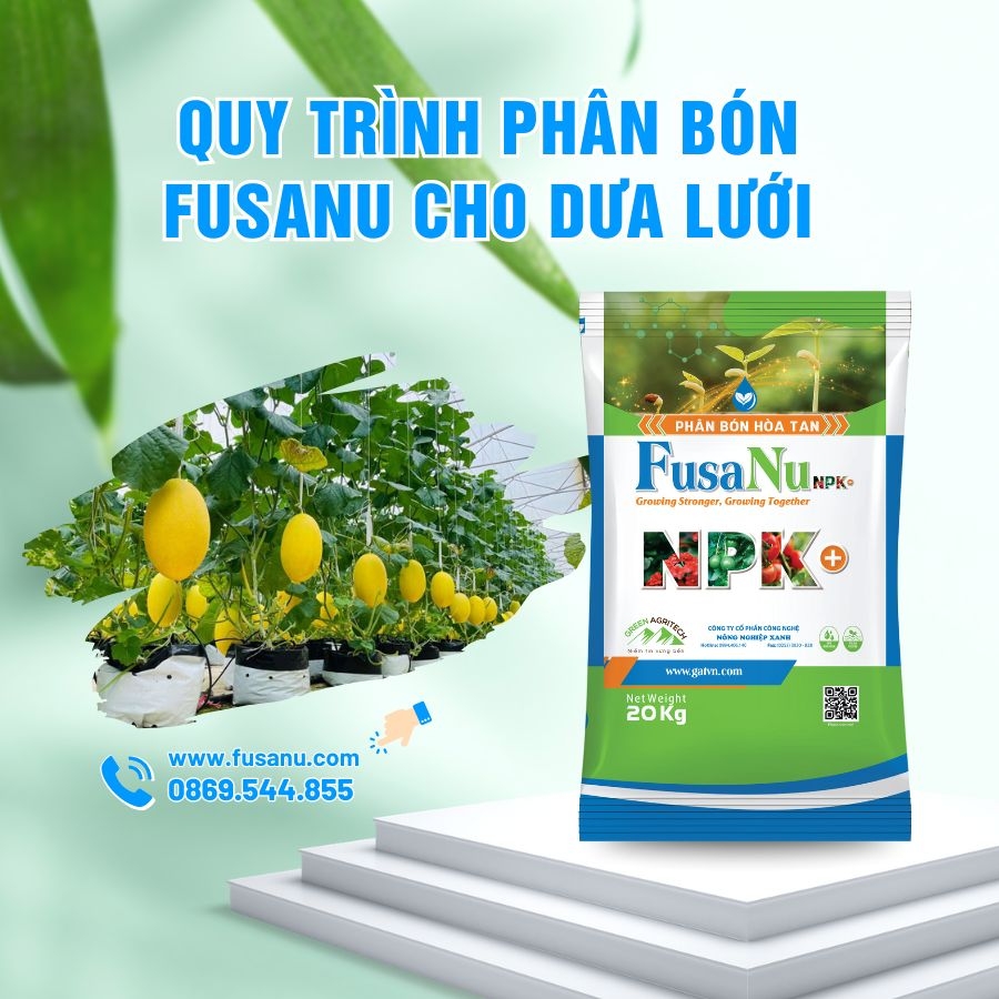 Quy trình phân bón hòa tan FusaNu cho Dưa Lưới