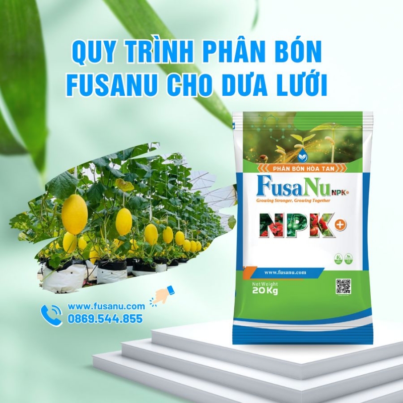 Quy trình phân bón hòa tan FusaNu cho Dưa Lưới